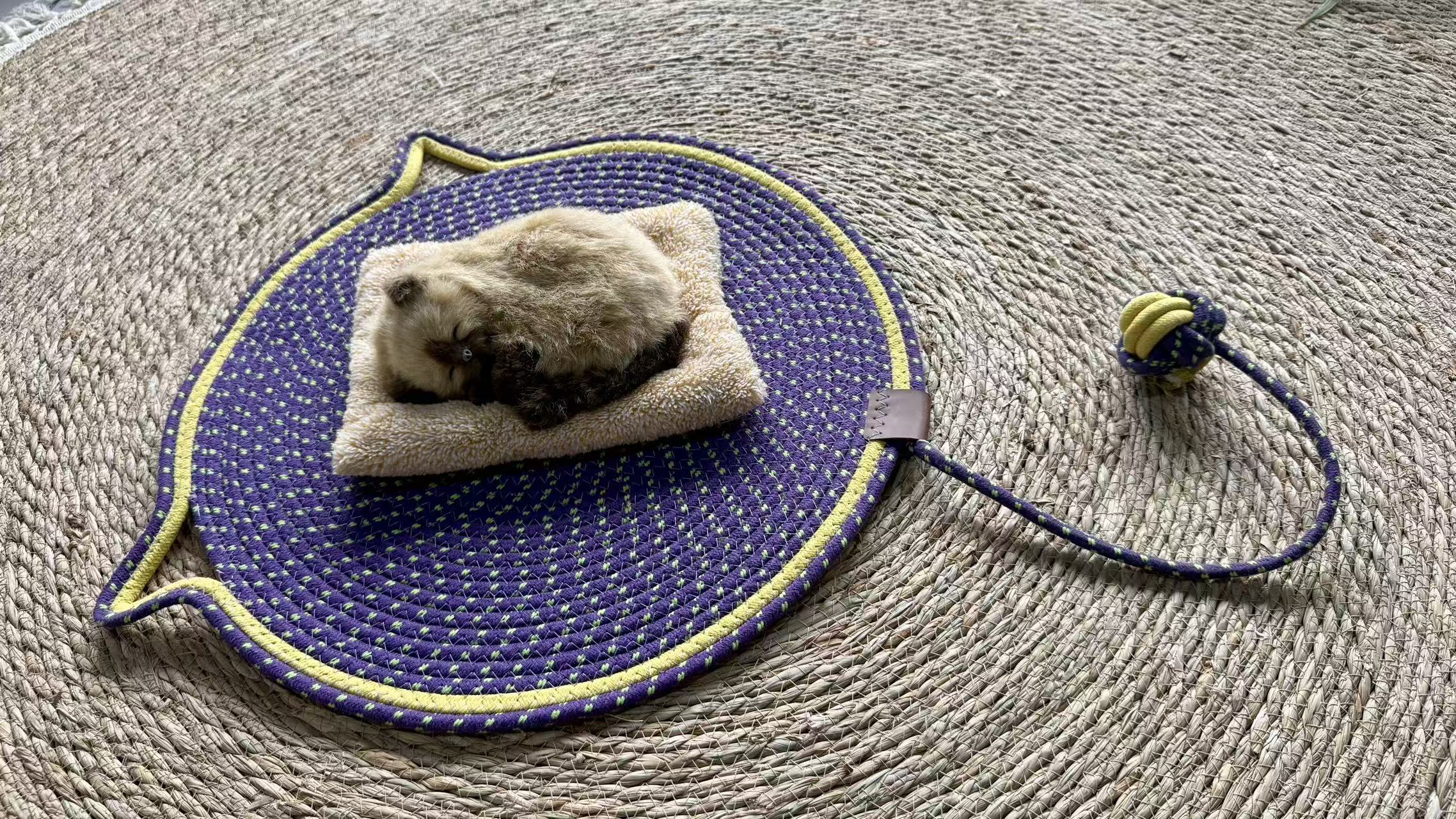 Pet mat-QDSR70005